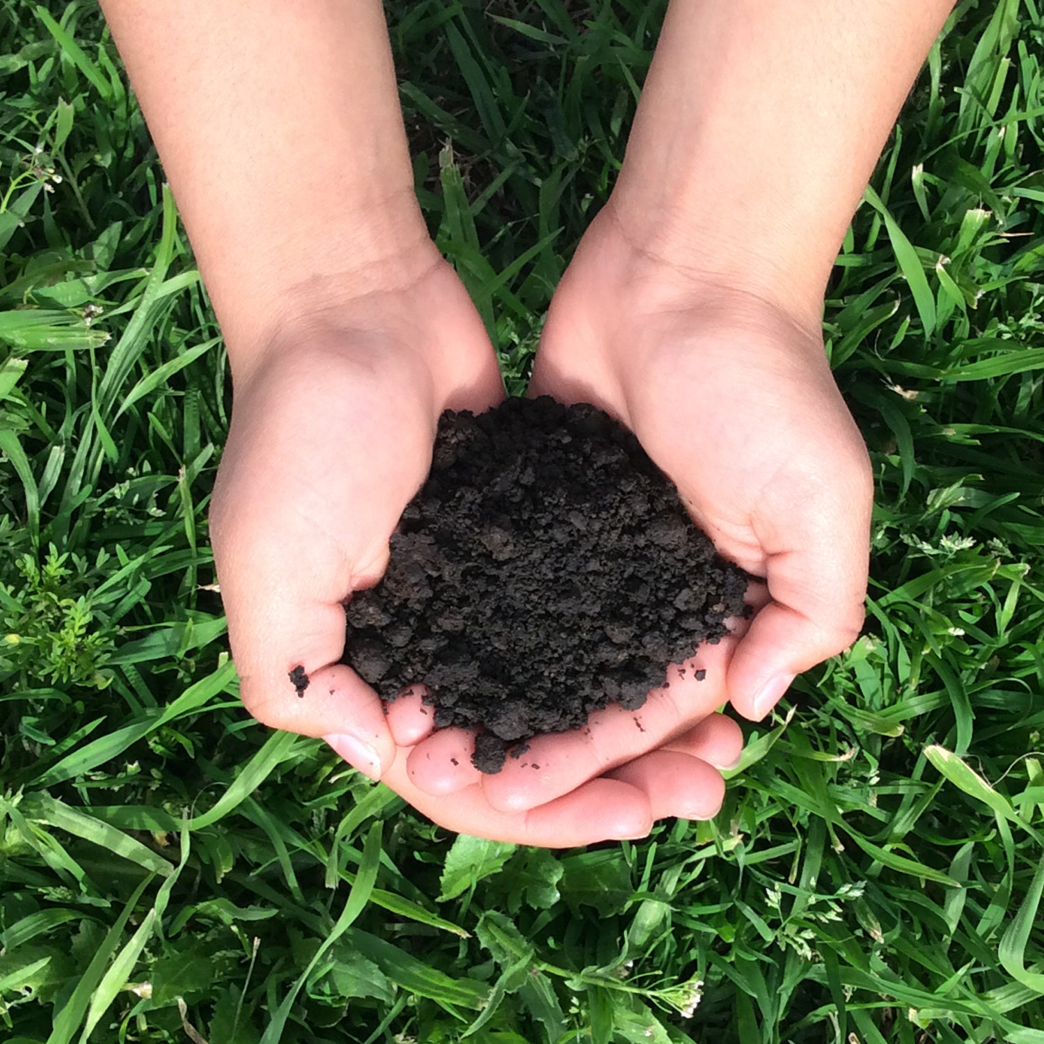 Biochar 1 Lb – 100% Organic Fertilizer | GardenEazy