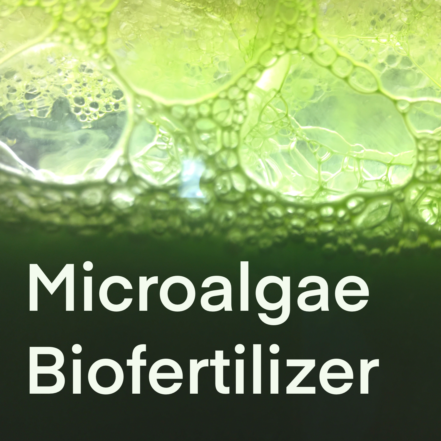 Microalgae Biofertilizer For 10 Plants | GardenEazy